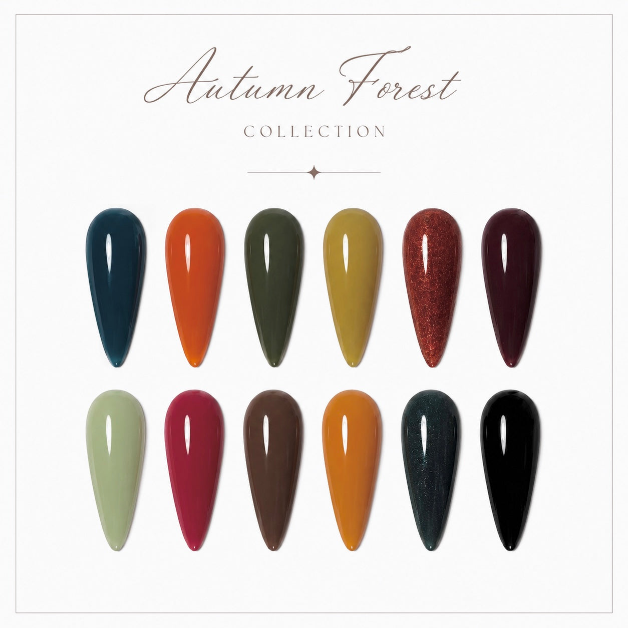 Autumn Forest Collection