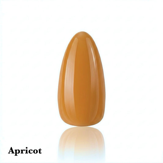Apricot