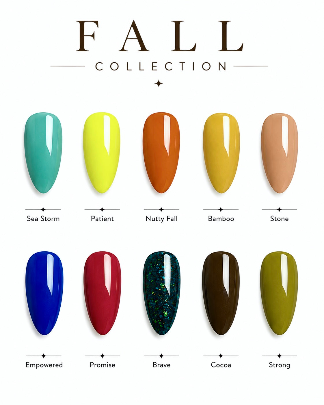 Fall Collection  (10pcs)