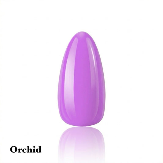 Orchid